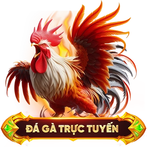 đá gà trực tuyến 123B